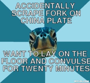 sensory turtle